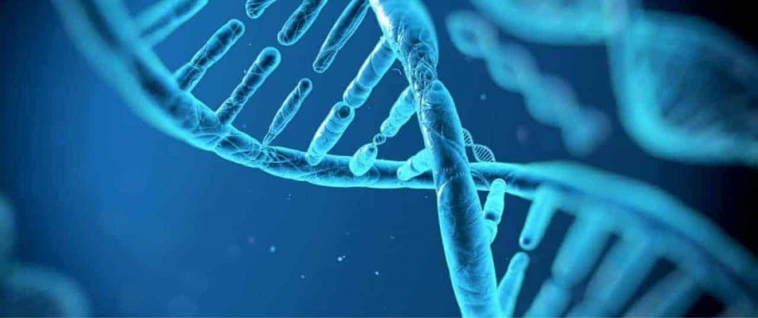 snp-analyse-kit sentebiolab ankara türkiye turkey